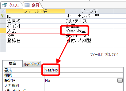 YESNOフィールドの書式を設定