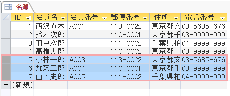 Excelからコピーしたデータが追加される