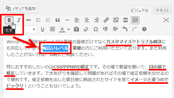 一生懸命な記事は太字が増えるかも