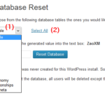 Database Resetメニュー