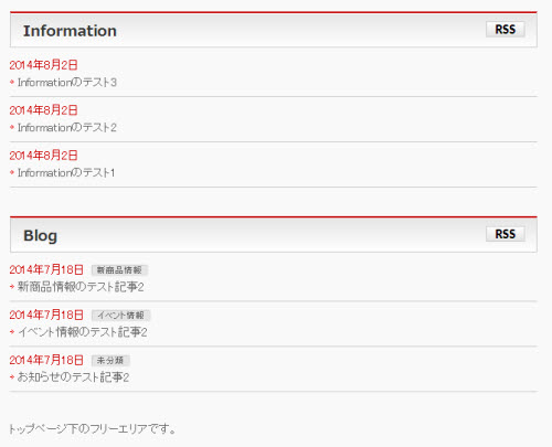 BizVektorのInformationとBlog