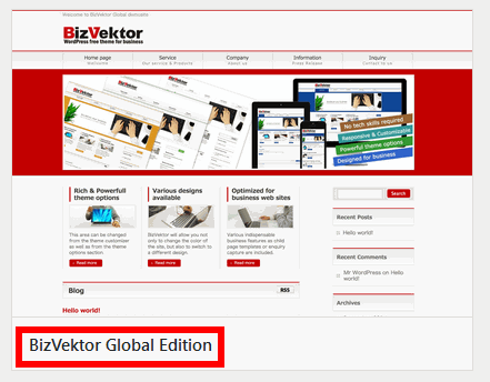 BizVektor Global Edition