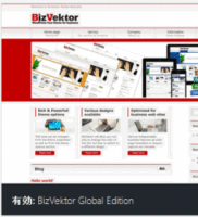 BizVektorには2種類（通常版とGlobal Edition）あるので注意！