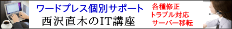 西沢直木のIT講座